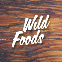 wild-foods wild-foods